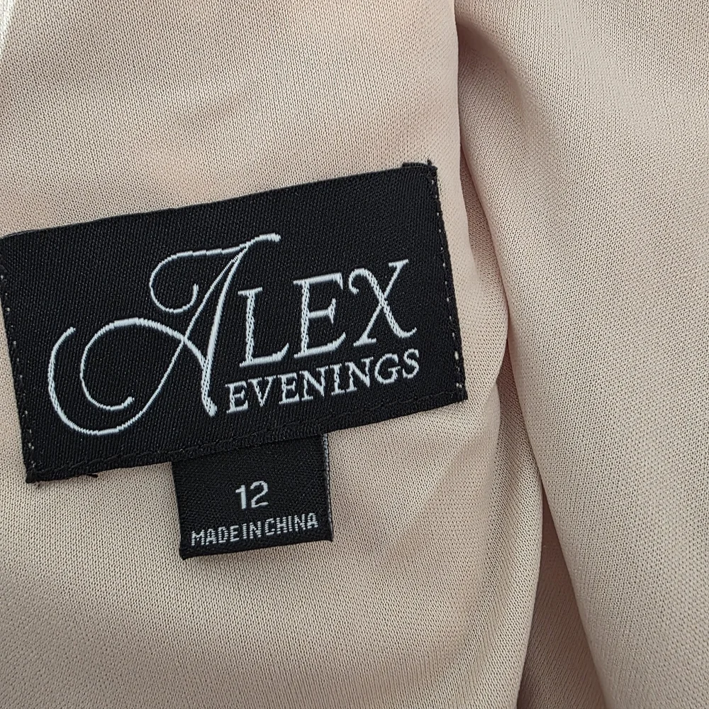 Alex Evenings Embroidered Cocktail Champange Dress - Picture 9 of 9